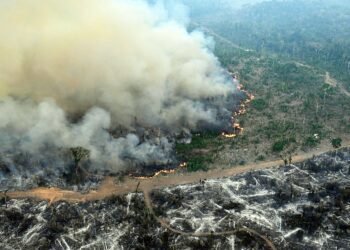 Deforestation, mainly for mining and agricultural purposes, has led to the loss of 12.5 percent of the Amazon