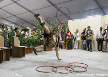 Reflecting on 20 Years of Terra Madre: A North American Perspective