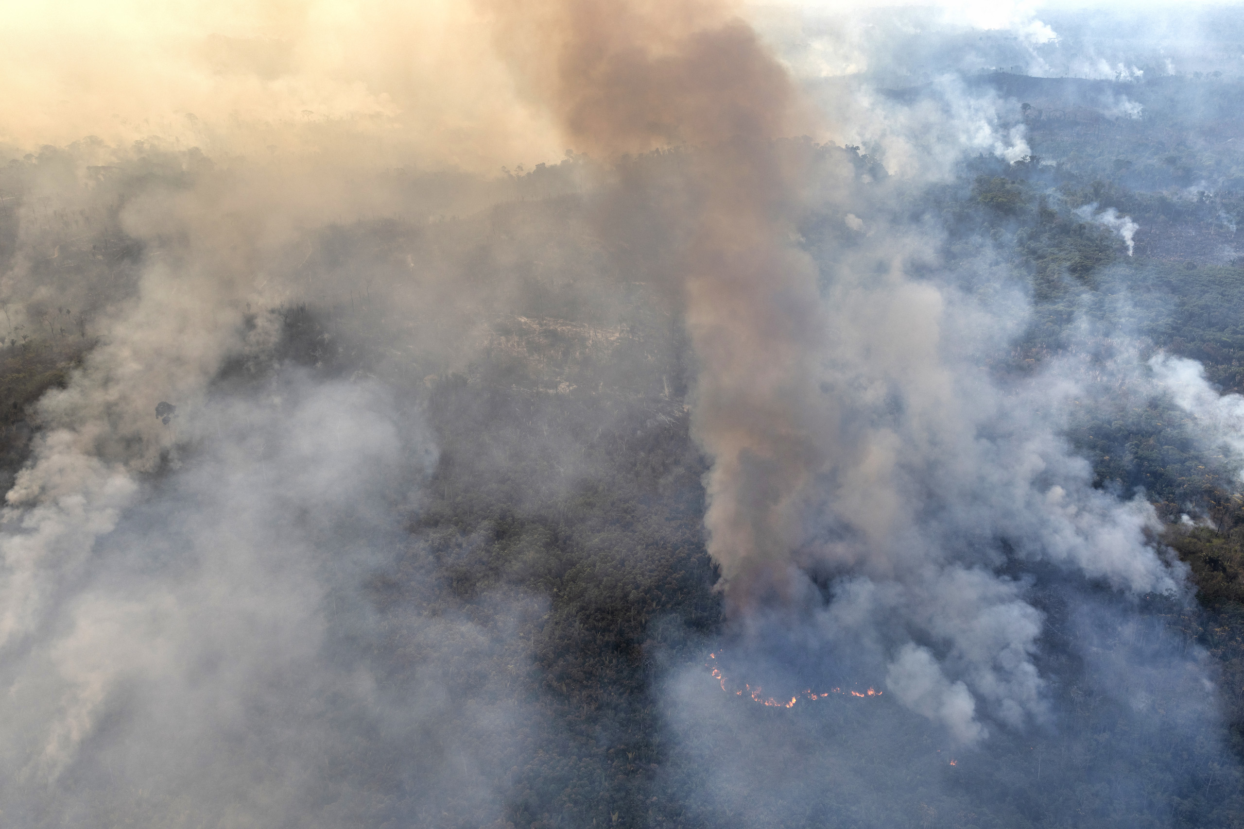 Greenpeace Brazil conducted an aerial survey in southern Amazonas and northern Rondônia to monitor deforestation and fires in July 2024. Photo © Marizilda Cruppe / Greenpeace.