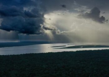 The Amazon is ablaze again. What it means for us (commentary)