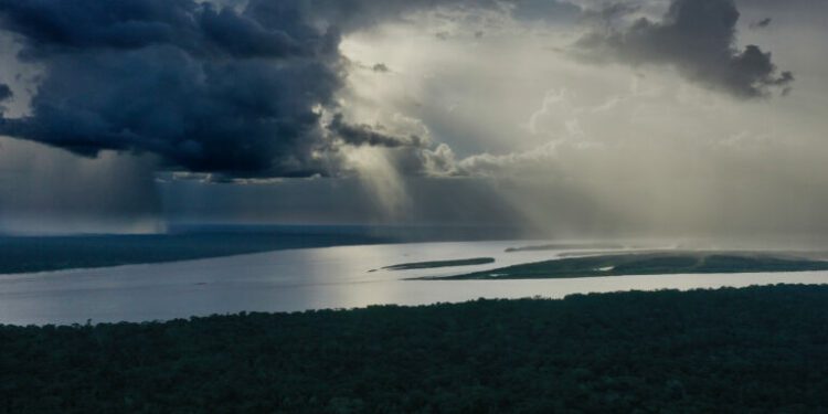 The Amazon is ablaze again. What it means for us (commentary)