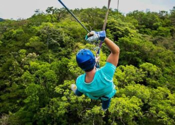 Explore Costa Rica's lush canopies