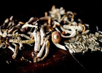 Psychedelic therapy could be curbed by high fees in Colorado