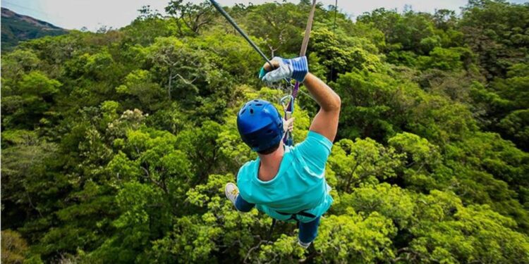 Explore Costa Rica's lush canopies