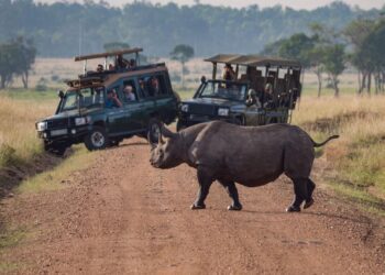 5 Incredible Nature-Inspired Travel Adventures