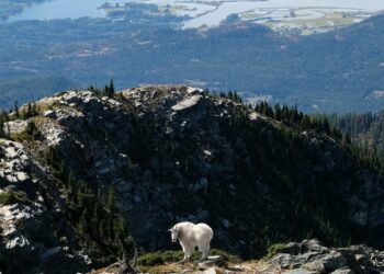 A path forward: Collaborative forms to craft public lands legislation for North Idaho