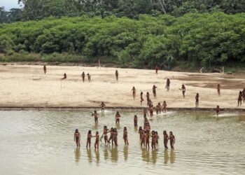 A remote Indigenous tribe kills two loggers encroaching on their land in Peru