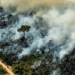 Amazon Forest Loses Area Equivalent to Germany and France Combined