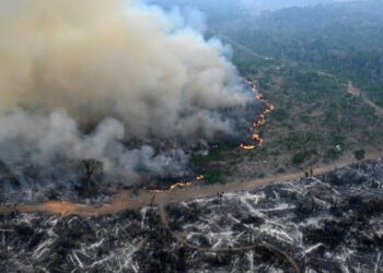 Aerial view of an area of Amazon rainforest deforested by illegal fire in the municipality of Labrea, Amazonas State, Brazil, taken on August 20, 2024 (EVARISTO SA)