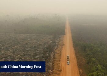 Amazon rainforest has lost an area the size of Germany and France
