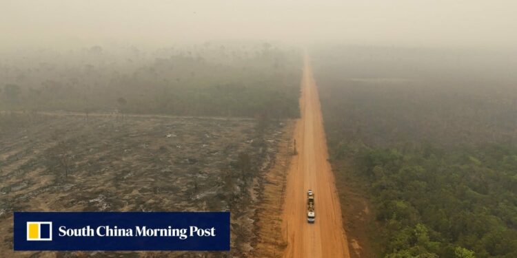 Amazon rainforest has lost an area the size of Germany and France