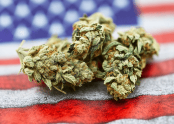 America’s Cannabis Divide Narrows as Legalization Gains Bipartisan Momentum