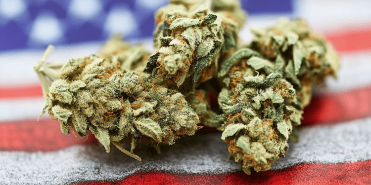 America’s Cannabis Divide Narrows as Legalization Gains Bipartisan Momentum