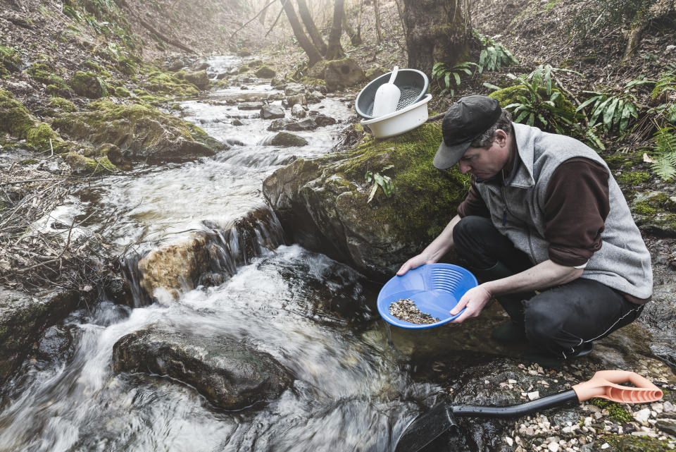 Gold panning. Man holding a gold pan is looking for gold in a mountain creek. Search for alluvial gold