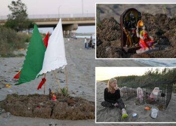 Animal sacrifices on the rise in Queens: 'It's open season'