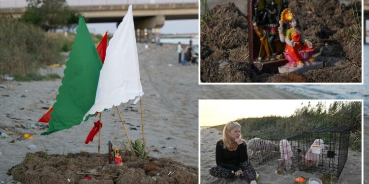 Animal sacrifices on the rise in Queens: 'It's open season'