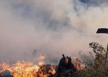 Arce asks congress to back loans to fight forest fires as Bolivia declares national emergency