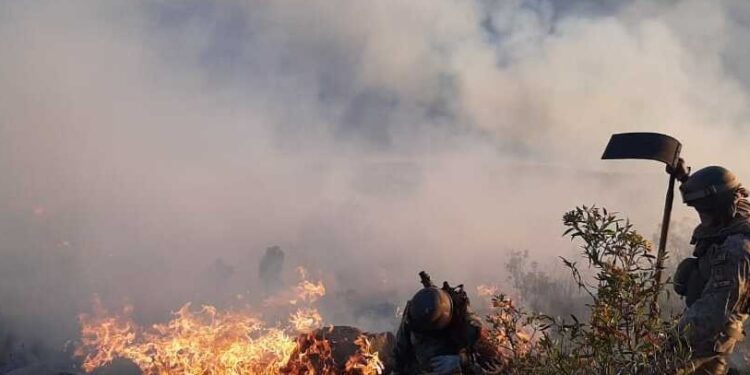 Arce asks congress to back loans to fight forest fires as Bolivia declares national emergency