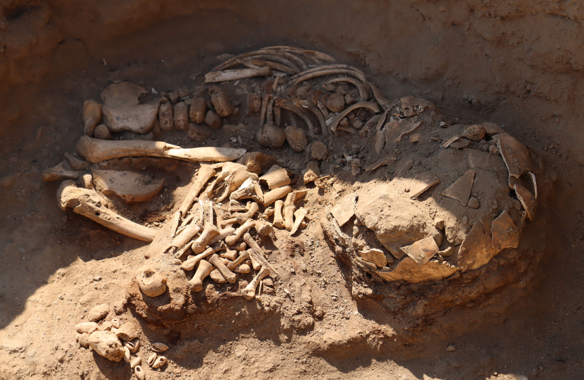 Deceased buried with funerary goods like stone pendants and snail shells