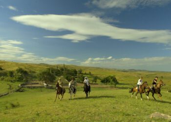 Argentina Travel Guide, News and Information