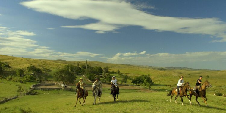 Argentina Travel Guide, News and Information