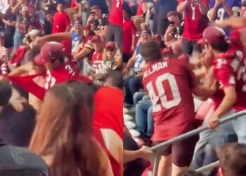 Arizona Cardinals fans fighting in stands