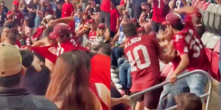 Arizona Cardinals fans fighting in stands