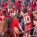 Arizona Cardinals fans fighting in stands