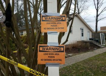 Battle to Reduce Americans' Exposure to Lead Far From Over