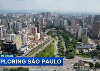 Birds in Brazil: Exploring the city of São Paulo