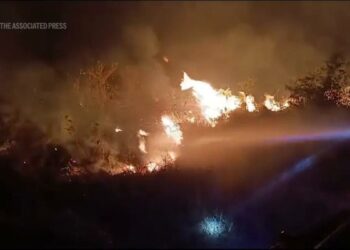 Bolivia battles wildfires with support from Brazilian firefighters