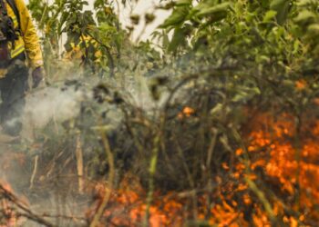 Brazil accounts for 76% of South America's wildfires