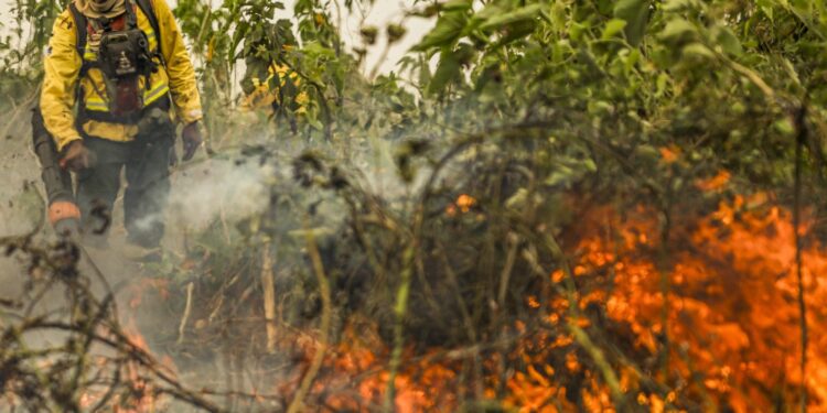 Brazil accounts for 76% of South America's wildfires