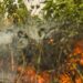 Brazil accounts for 76% of South America's wildfires