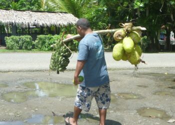 Breadfruit Is Here to Save the World