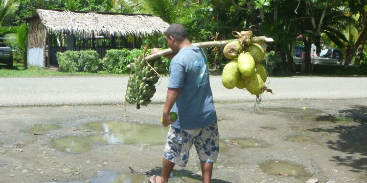 Breadfruit Is Here to Save the World