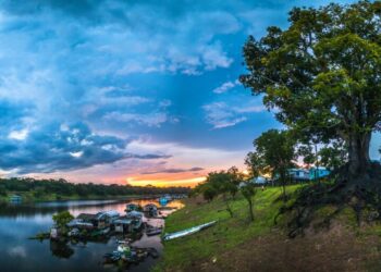 CHAPTER 6. Culture and demographics defines the Pan Amazon's present