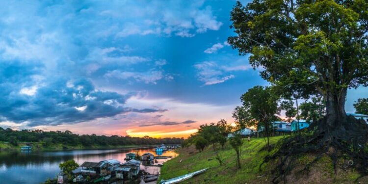 CHAPTER 6. Culture and demographics defines the Pan Amazon's present