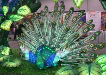 Calgary zoo conference prioritizes pivot from entertainment to conservation