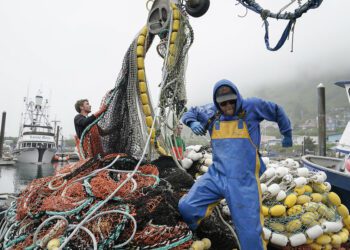 Can US seafood industry revive? Mayor and fishmonger Larry Toomer has a recipe.