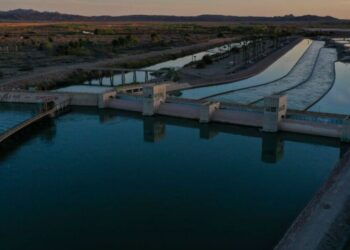 Can eating less beef and dairy help save the Colorado River?