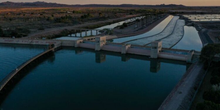 Can eating less beef and dairy help save the Colorado River?