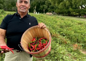 Chimayo Red, New Mexico's 'holy chile'