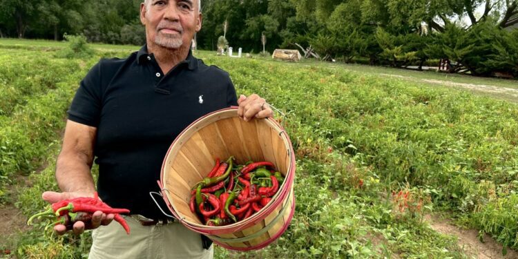 Chimayo Red, New Mexico's 'holy chile'