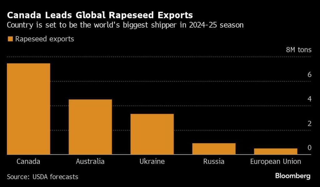 China Responds to Canada’s EV Tariffs With Rapeseed Probe