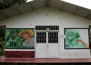 Colombia deadliest country for environmentalists in 2023: Rights group Global Witness