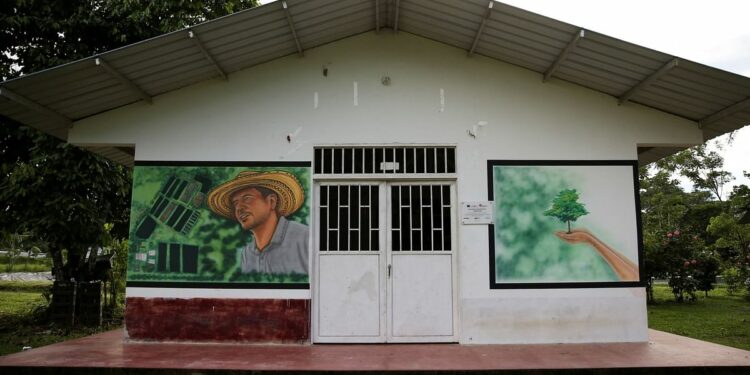 Colombia deadliest country for environmentalists in 2023: Rights group Global Witness