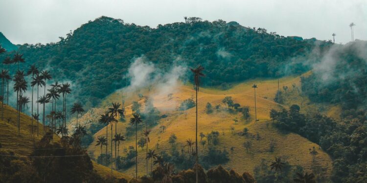 Colombia, the host nation for this year's United Nations COP16 biodiversity conference, faced a grim reality in 2023. The country recorded the highest number of environmental and land rights defenders killed, with a staggering 79 deaths, as reported by UK advocacy group Global Witness.