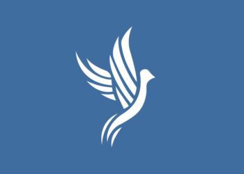 Column: The Tenacity of the USA Women’s Gymnastics Team