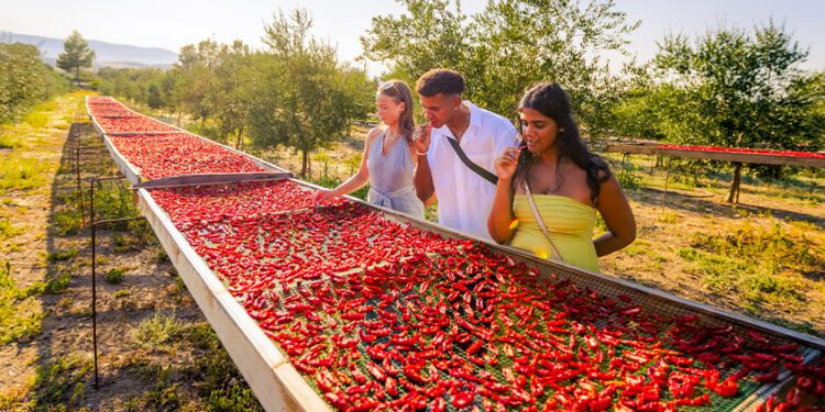 Contiki launches 10 new Europe trips, new budget trips to Peru